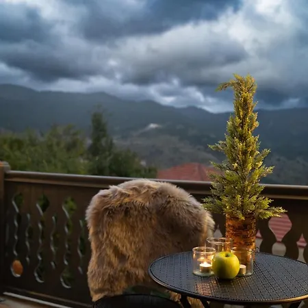 Dandy Villas Metsovo-Mezzo-Down Town-Up 5 Buitenkant foto