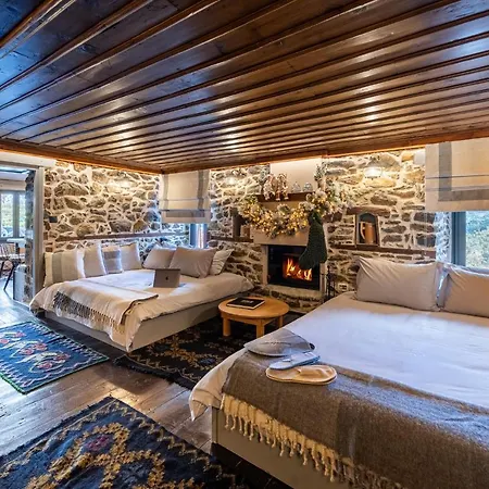 Dandy Villas Metsovo-Mezzo-Down Town-Up 5 Buitenkant foto
