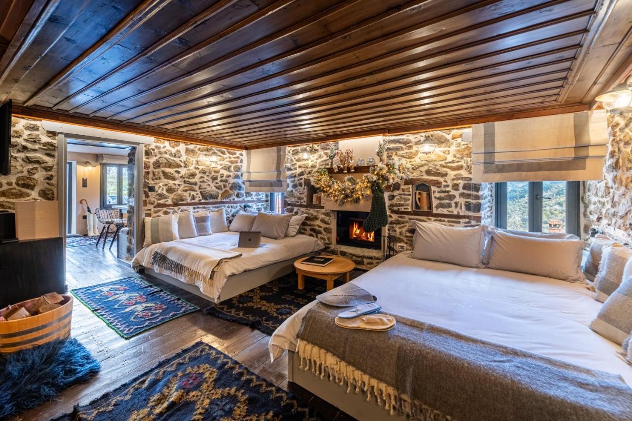 Dandy Metsovo-mezzo-down Town-up 5 Apartment